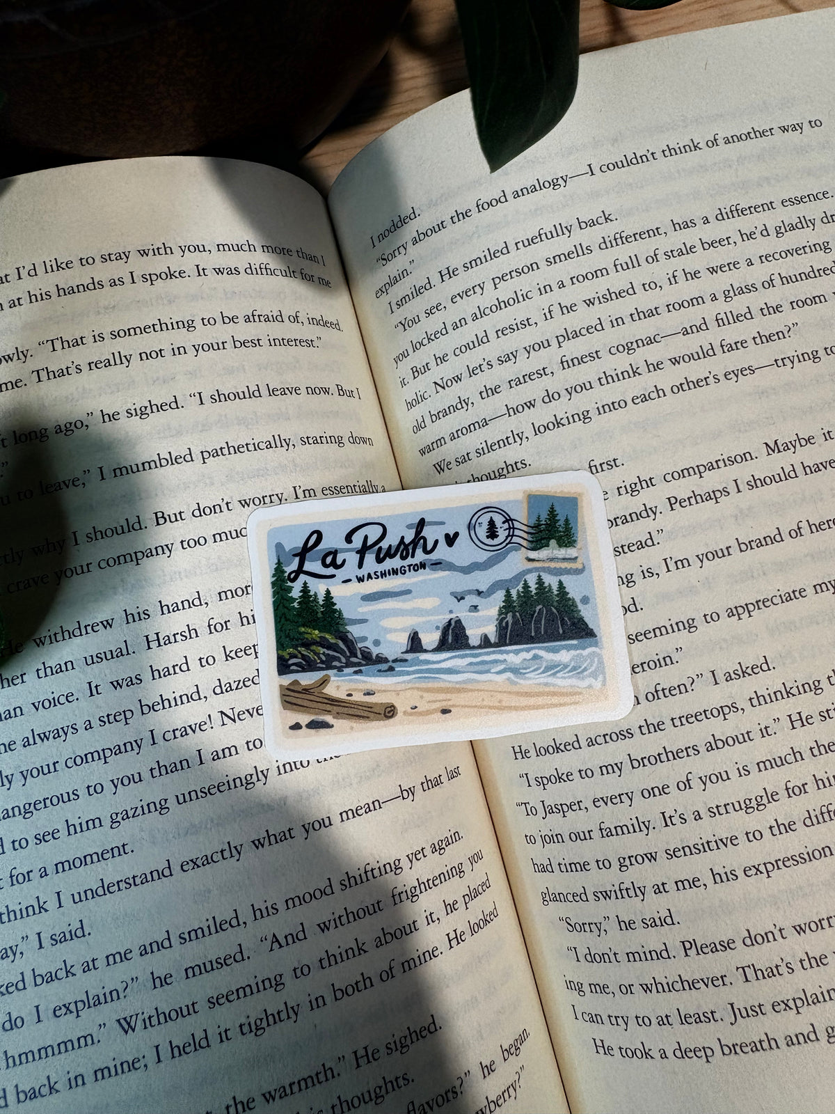 La Push Baby