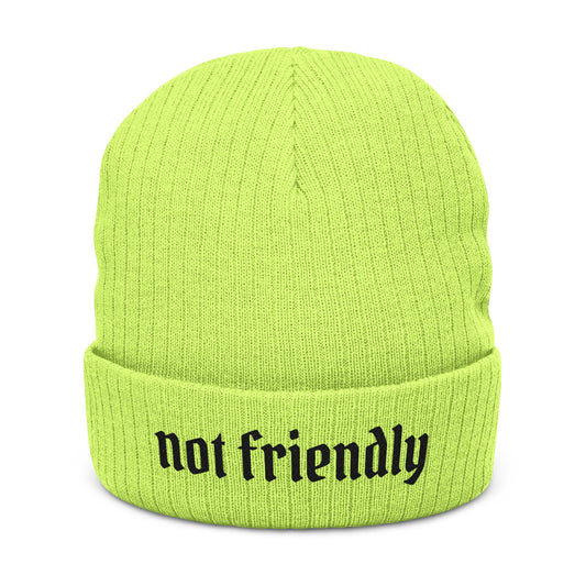 Not Friendly Light Embroidered Beanie