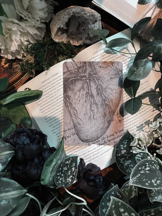 The Most Fragile Organ Kindle Insert