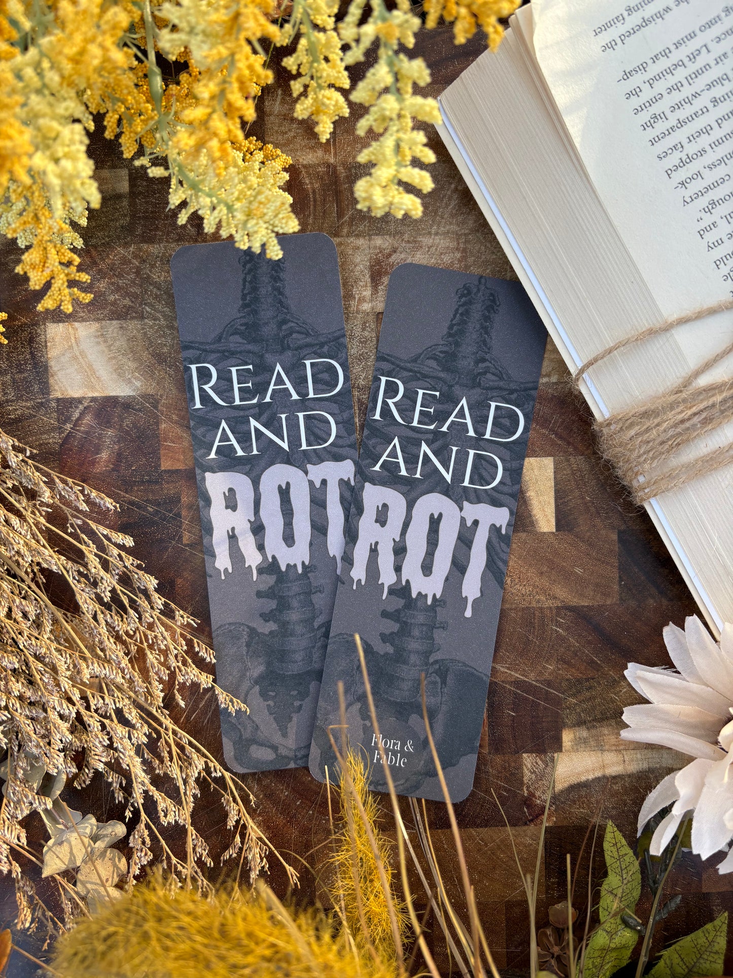 Read & Rot II