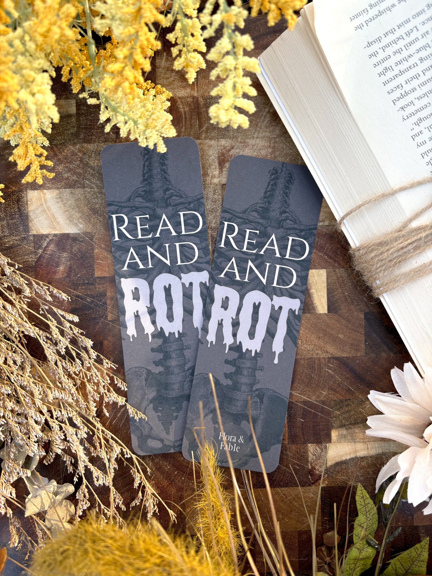 Read & Rot II