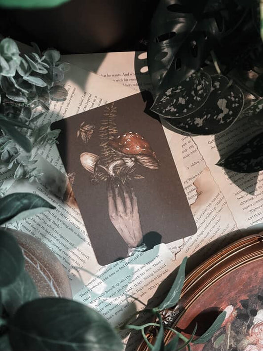 Mycologist Kindle Insert