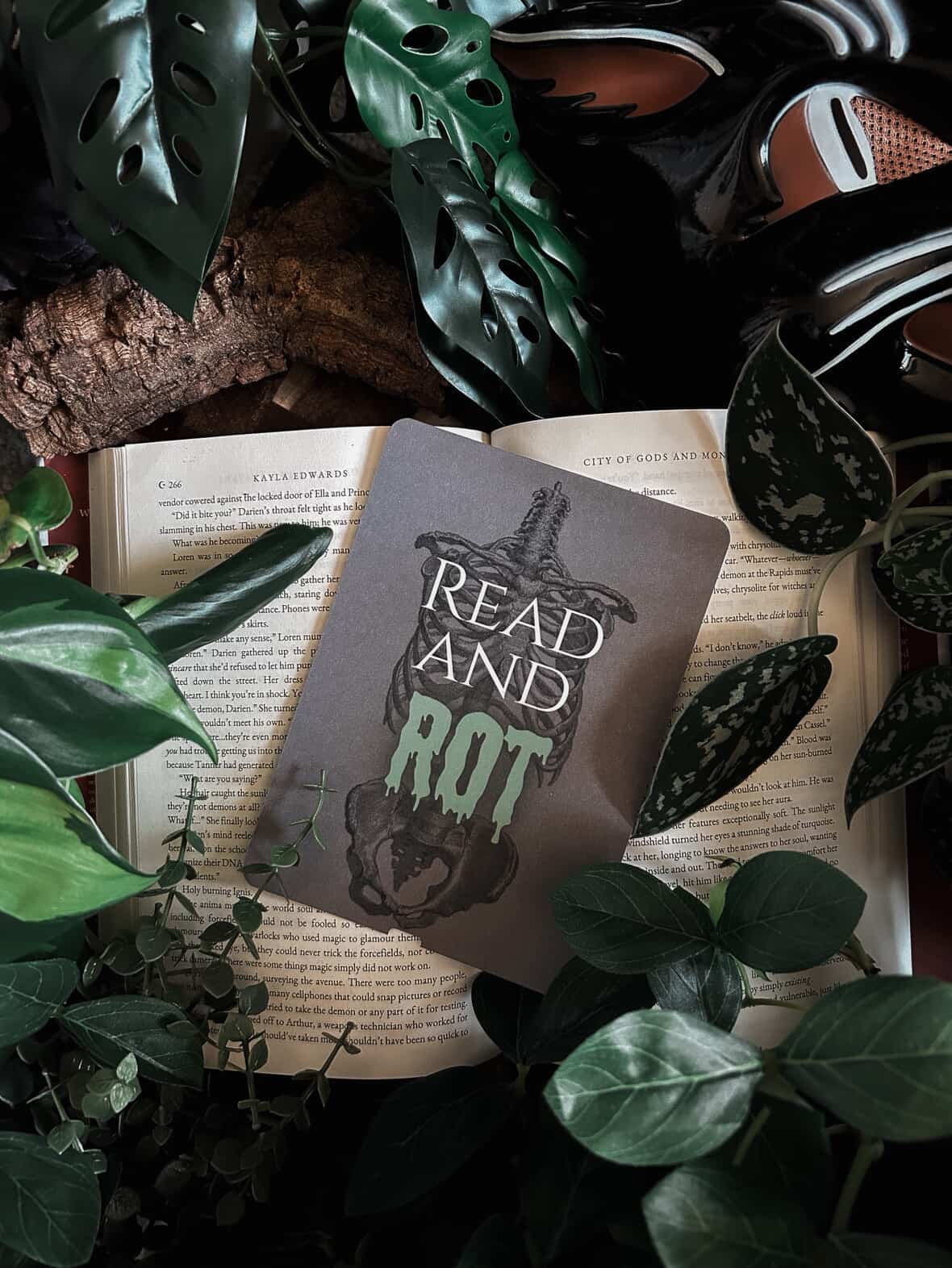 Read and Rot Kindle Insert