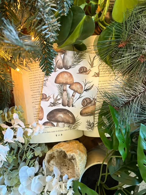 Slow Moving Kindle Insert