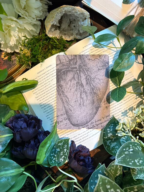 The Most Fragile Organ Kindle Insert