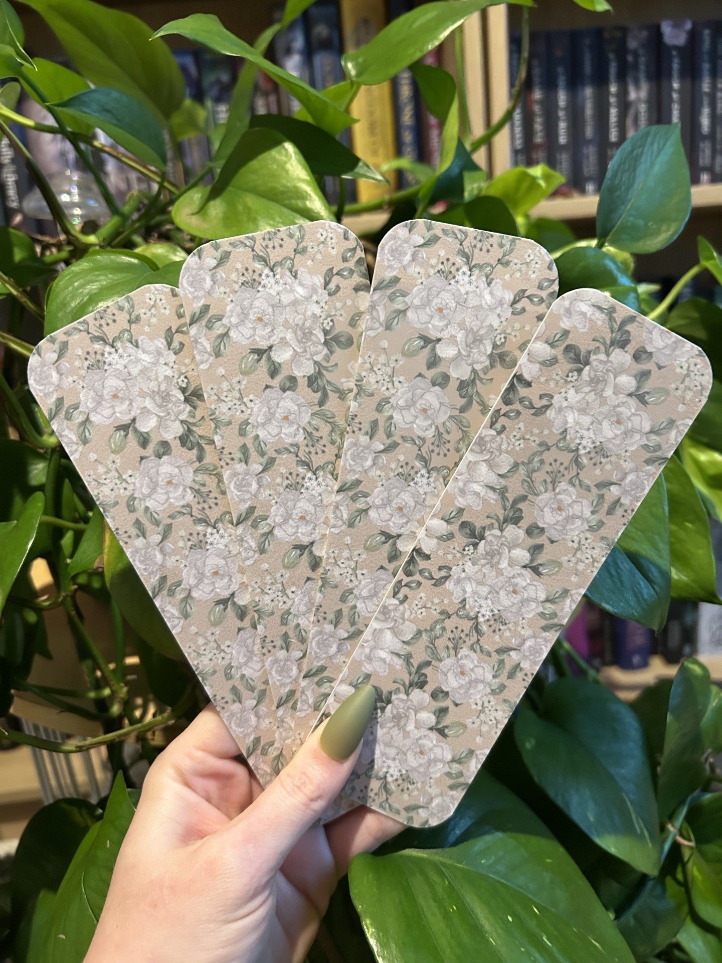 Gardenia