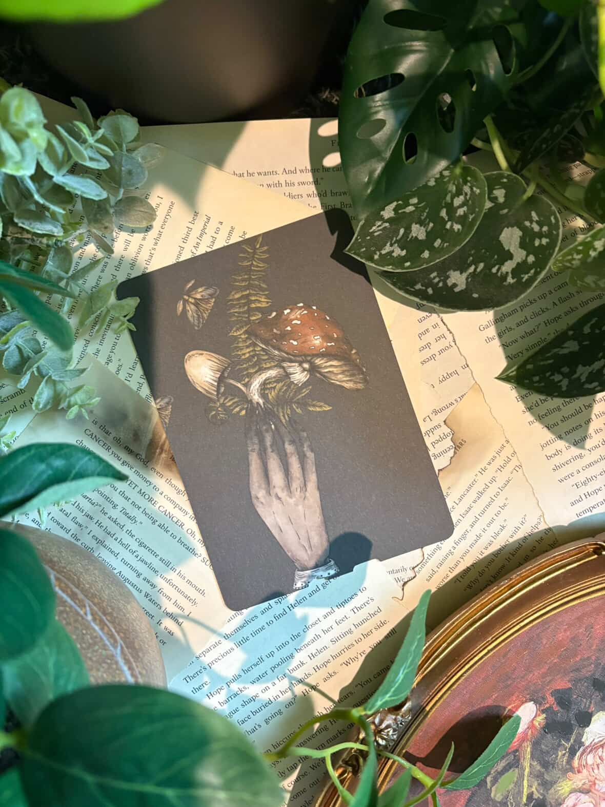Mycologist Kindle Insert
